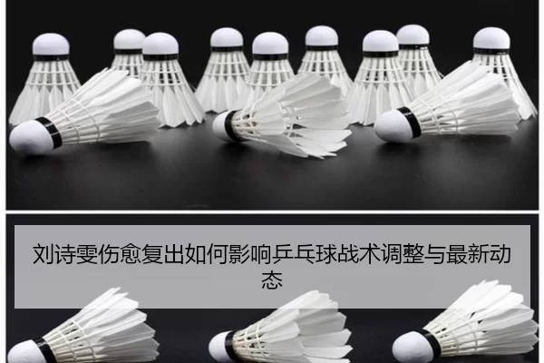 刘诗雯伤愈复出如何影响乒乓球战术调整与最新动态