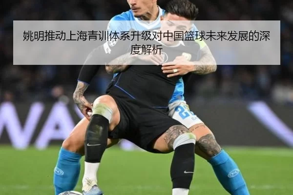 姚明推动上海青训体系升级对中国篮球未来发展的深度解析